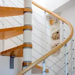 Apartamento Festum