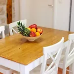 Festum Apartamento *