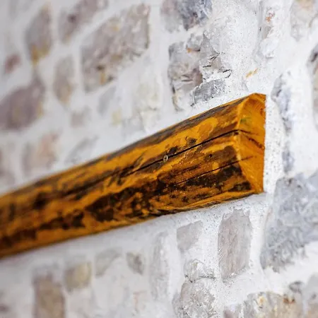 Festum * 시베니크