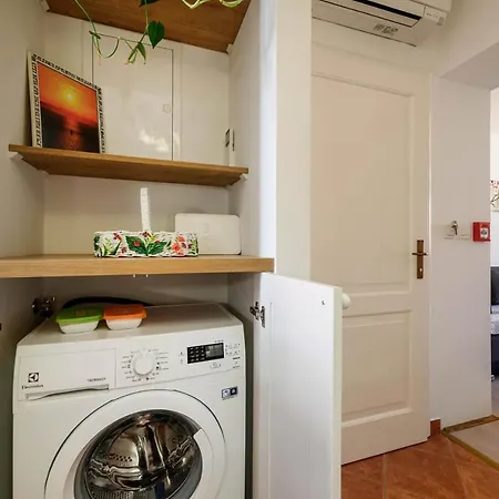 Apartment Festum