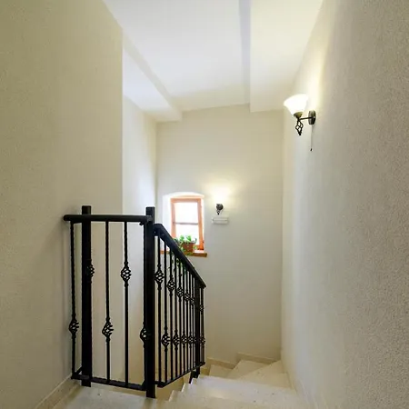 Festum Apartment
