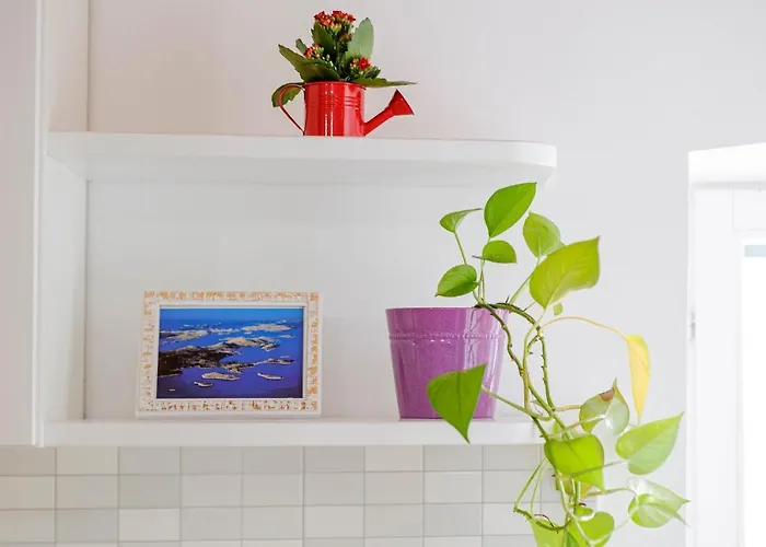 Festum * 시베니크